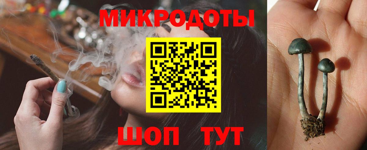 Галлюциногенные грибы GOLDEN TEACHER  Вход с VPN  Златоуст 